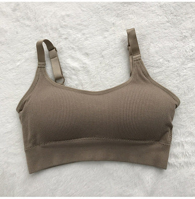 Ribbed Support shopify